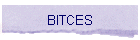 BITCES